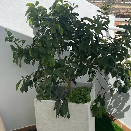Only Sun * San Juan De Los Terreros